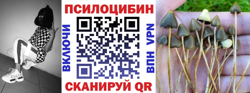 Галлюциногенные грибы мухоморы  Купить закладки  Елизово 